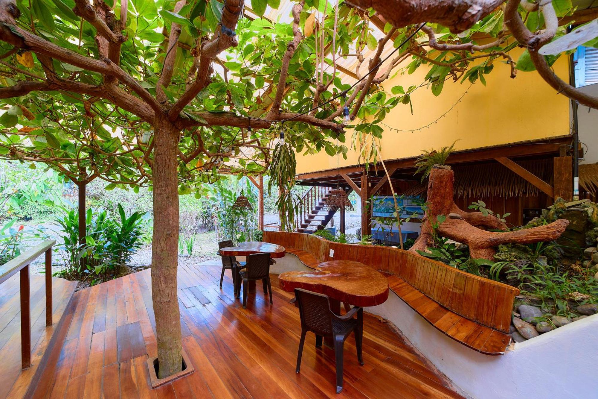 Cabinas Montesol Puerto Viejo de Talamanca Eksteriør bilde